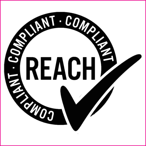 Safety_Reach_logo